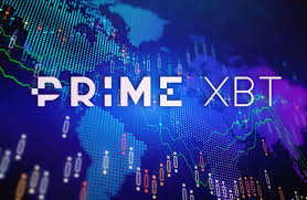 Comprehensive Covesting Review PrimeXBT Is It Worth Your Investment